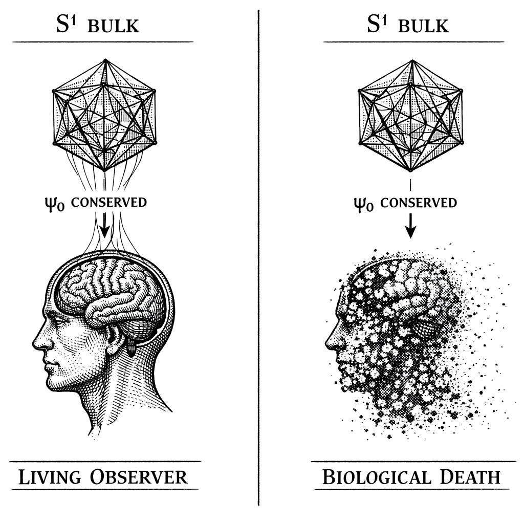 Information Conservation in the Semantic Dimension. When the biological antenna decays, the observer wave function (\psi_o) is not destroyed---it remains permanently inscribed in the statistical manifold of the S^1 Bulk. Death is a local, 3D boundary event; the geometric information of the conscious observer is conserved eternally in the higher-dimensional architecture.